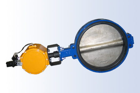 Assured Automation Butterfly Valve with Pneumatic Actuator