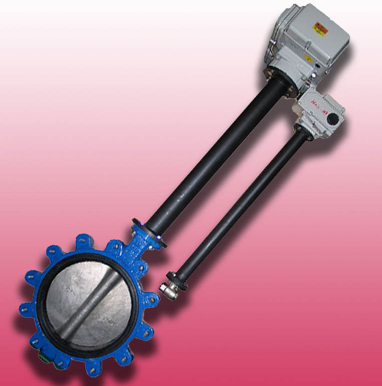 Custom Lug Butterfly Valve with Shaft Extension and Electric Actuator